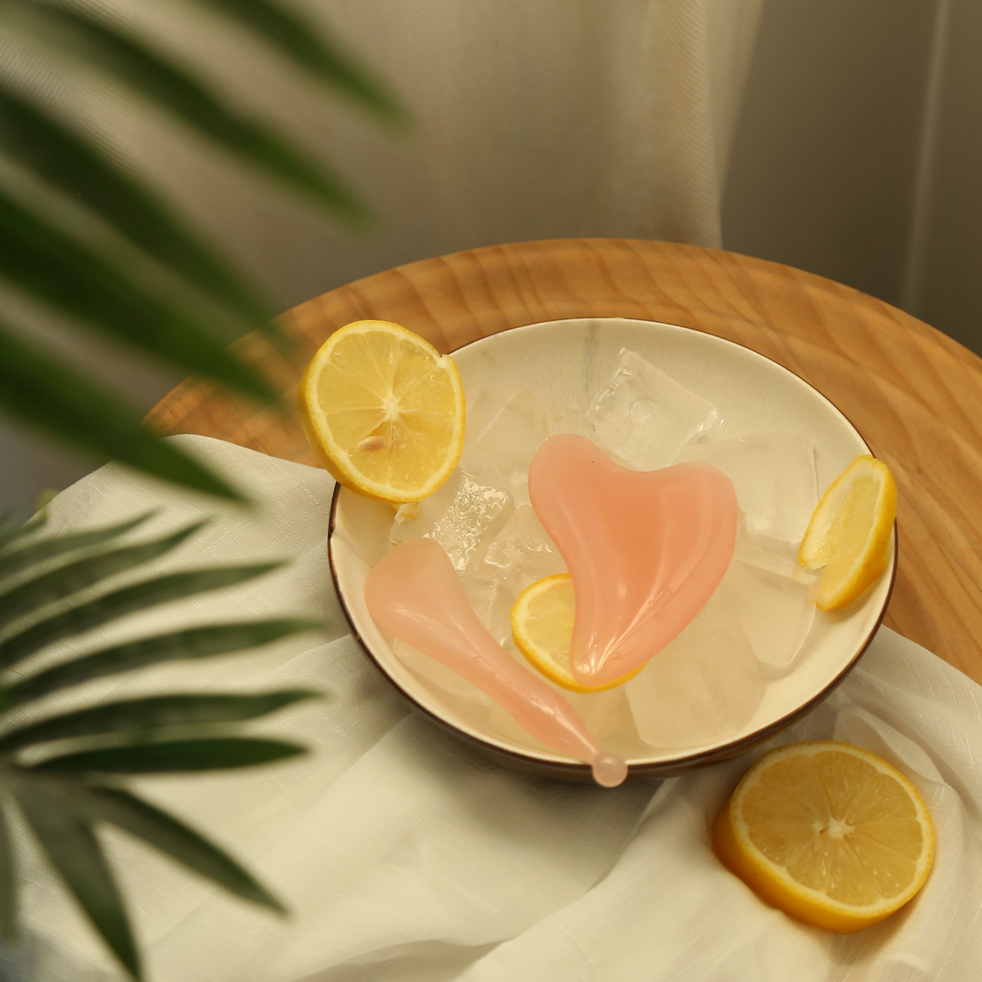 Complete Facial Guasha Set